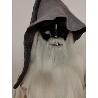 Broda Dumbledore'a siwa+wąsy